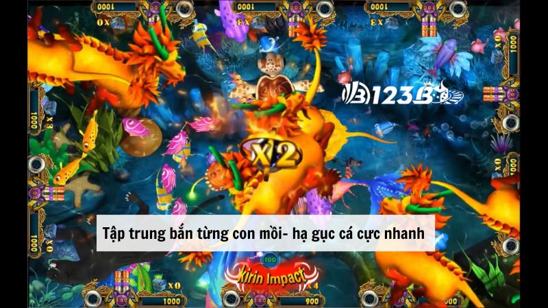 Tập trung bắn từng con mồi- hạ gục cá cực nhanh 