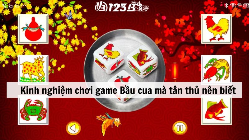 Các kinh nghiệm chơi game Bầu cua mà tân thủ nên biết