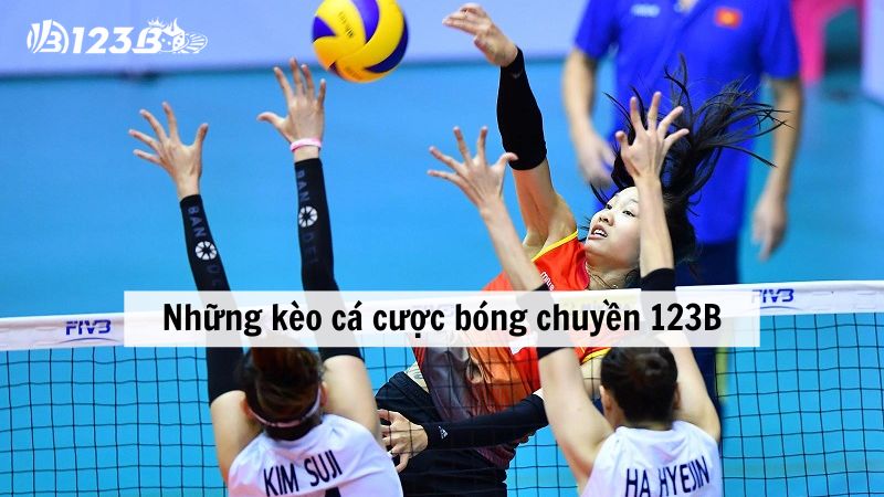 Những kèo cược anh em có thể chơi khi cá cược bóng chuyền 123B