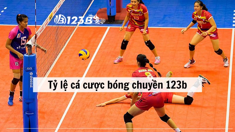 Những tỷ lệ cược áp dụng cho cá cược bóng chuyền 123b