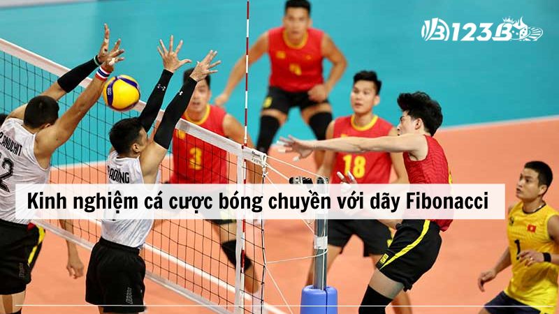 Kinh nghiệm chơi cá cược bóng chuyền sử dụng dãy Fibonacci 