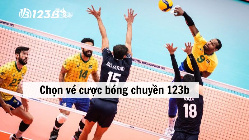 Chọn vé cược bóng chuyền 123b theo chuyên gia