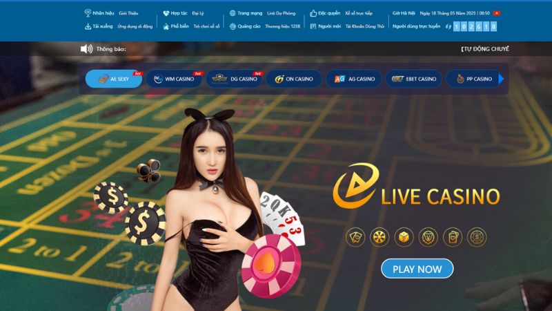 Cá cược casino 123b đang là cái tên rất hot