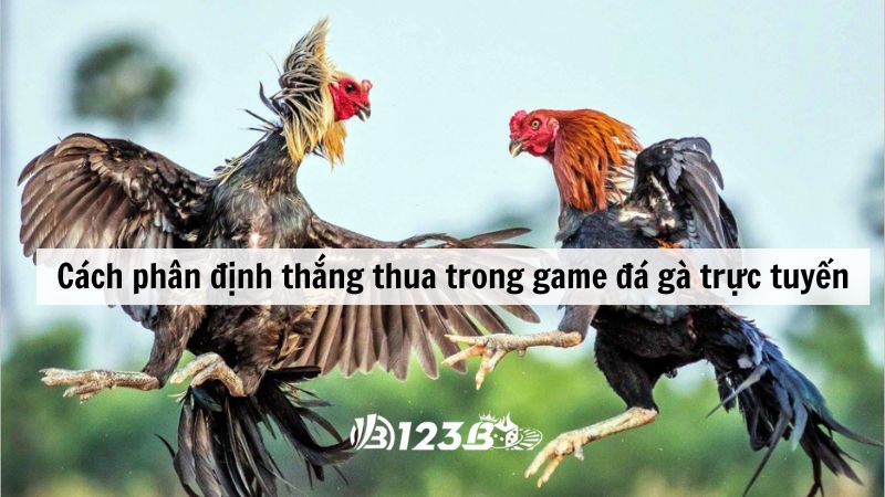 Thông tin liên quan đến game Đá gà chính xác 99,9%