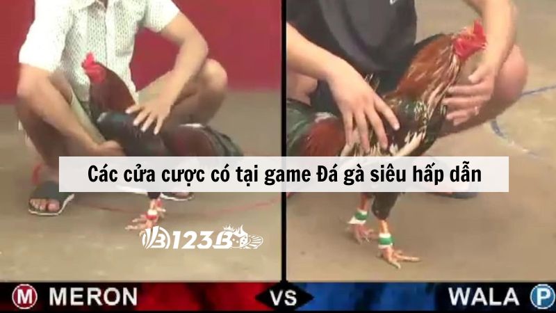 Các cửa cược có tại game Đá gà siêu hấp dẫn