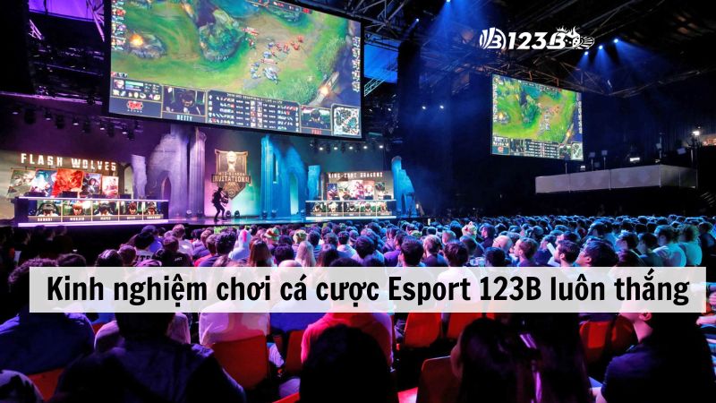 Nắm chi tiết thông tin của 2 đội tuyển thi đấu Esport