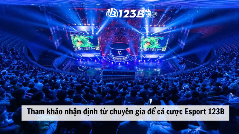 Tham khảo nhận định từ chuyên gia để cá cược Esport 123B