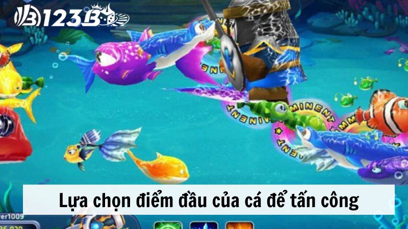 Lựa chọn điểm đầu của cá để tấn công