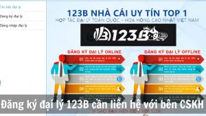 Đăng ký đại lý 123B cần liên hệ với bên CSKH