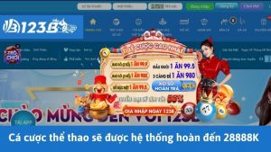 Cá cược thể thao sẽ được hệ thống hoàn đến 28888K