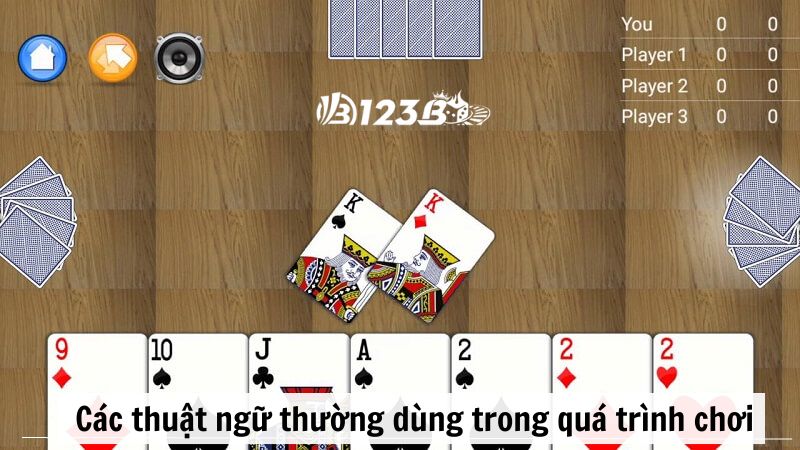 Các thuật ngữ thường dùng trong quá trình chơi tiến lên miền Nam 123B